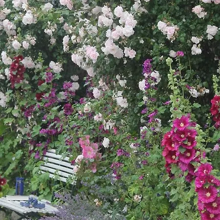 ファームステイ Jagdhaus *