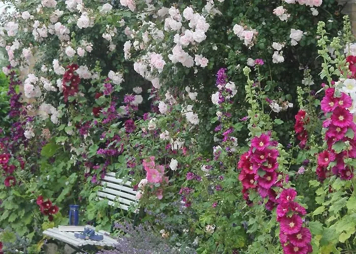 Alojamento de Turismo Rural Jagdhaus *